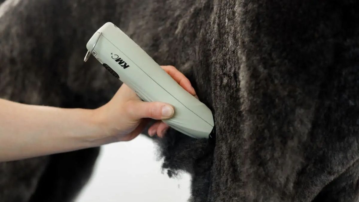 Wahl KMC+ Snoer/Snoerloze Trimmer - Afbeelding 2