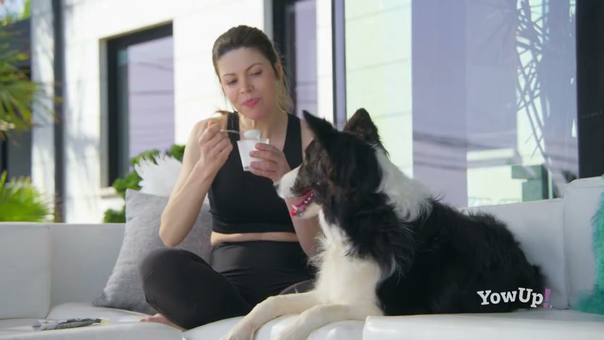 YowUp! Yoghurt Cats Natural Prebiotics - Afbeelding 2