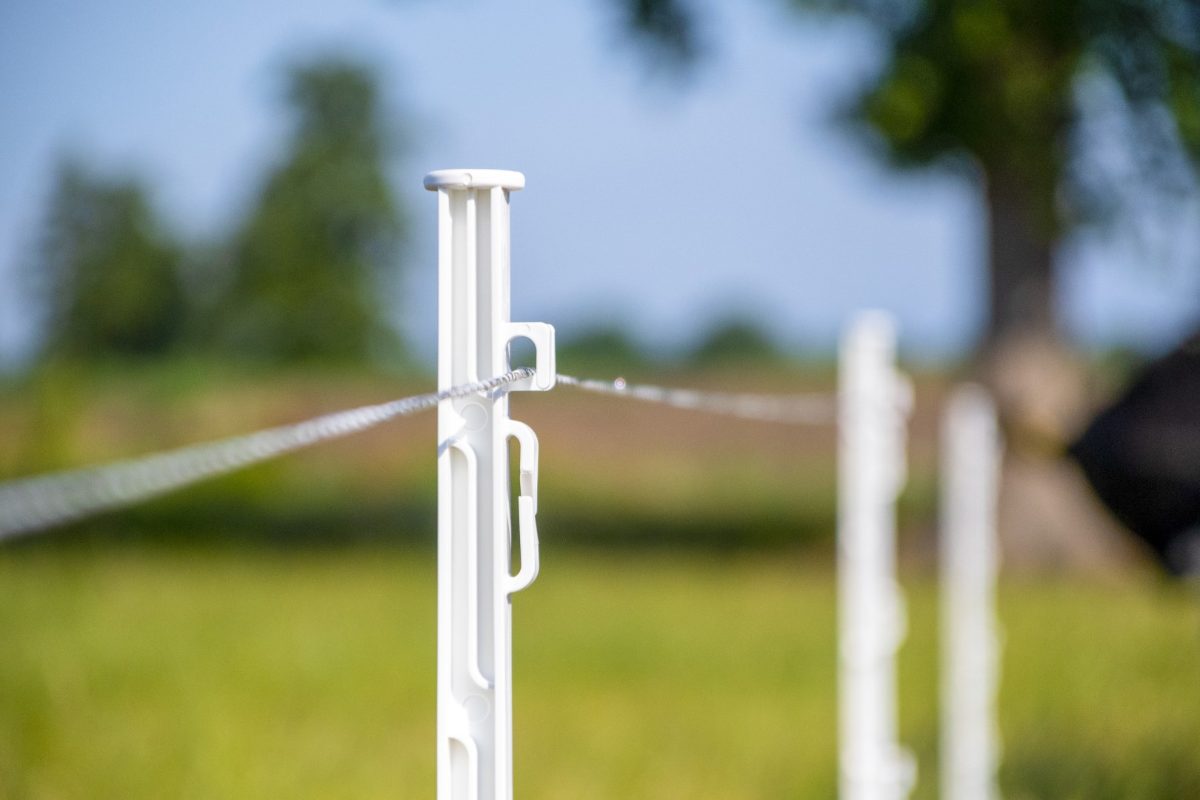 ZoneGuard Plus Afrasteringsdraad 3 mm 400 m - Afbeelding 3
