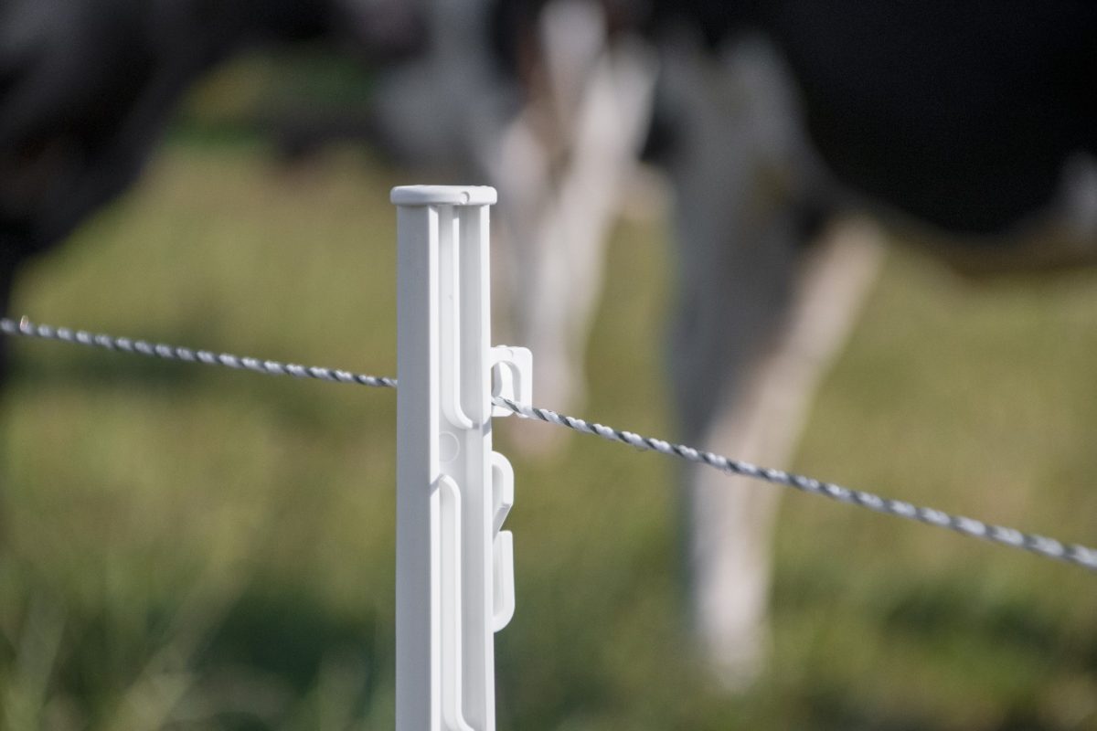 ZoneGuard Plus Afrasteringsdraad 3 mm 400 m - Afbeelding 5