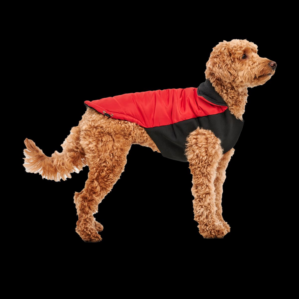 Goo-eez Mock Neck Signature Wrap Jacket M Rood/Zwart