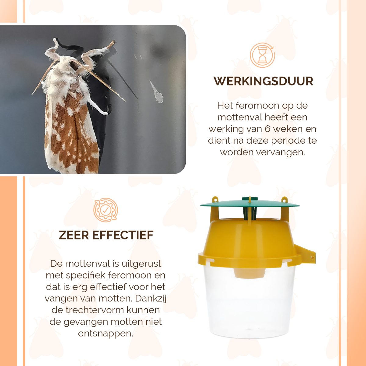 Knock Pest Mottenval - Afbeelding 5