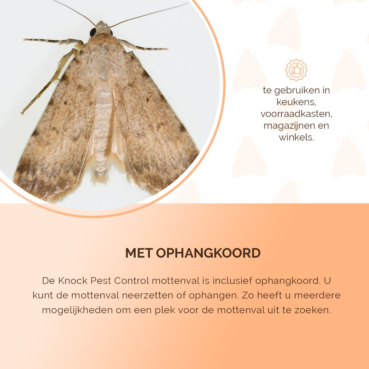 Knock Pest Mottenval - Afbeelding 6