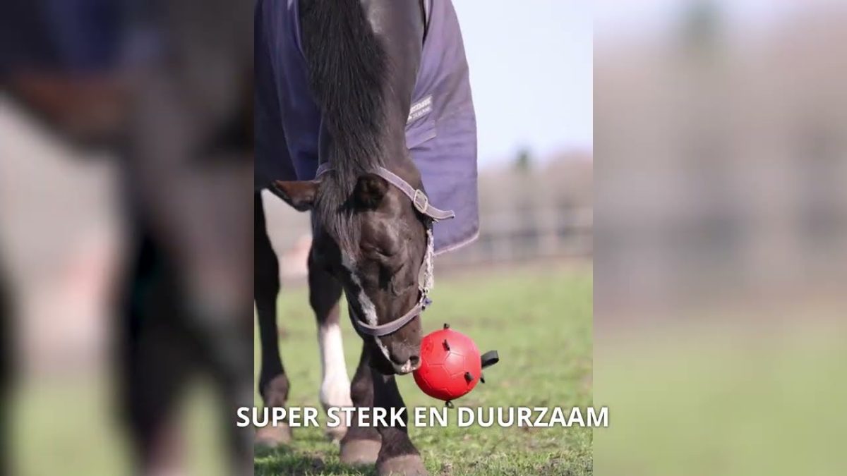 Excellent Horse Fun Play Ball Groen - Afbeelding 3