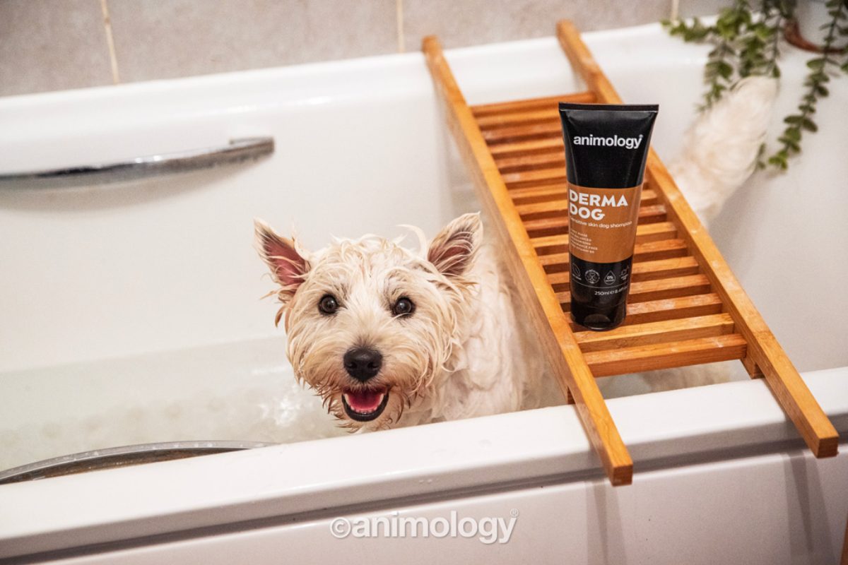 Animology Derma Dog Sensitive Skin Dog Shampoo 250 ml - Afbeelding 3