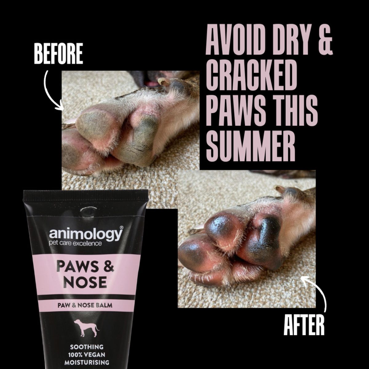 Animology Paws & Nose Balm 50 ml - Afbeelding 3