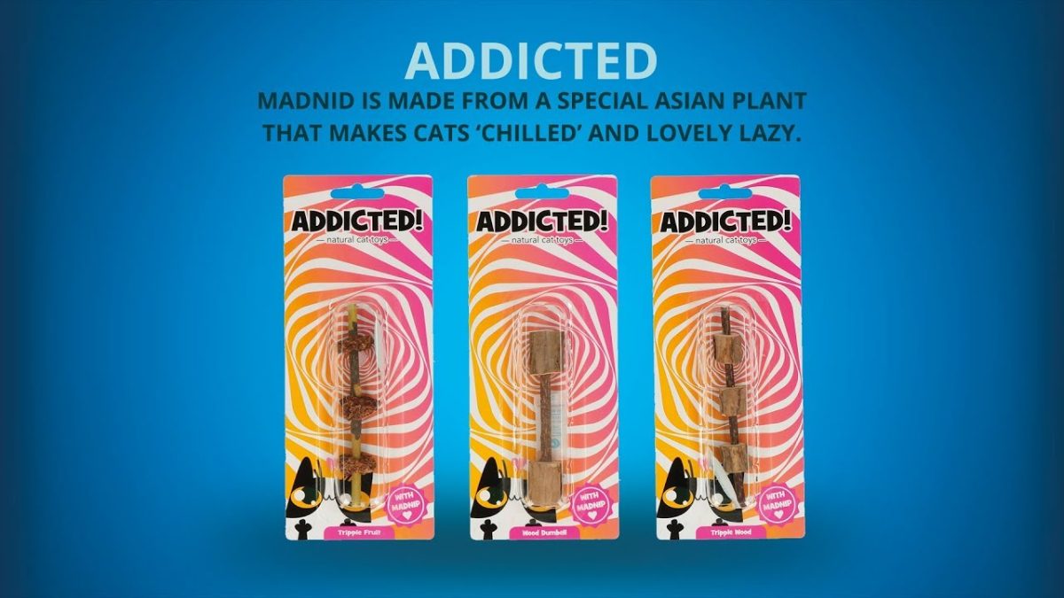 Addicted! Stick with Balls & Feathers - Afbeelding 3