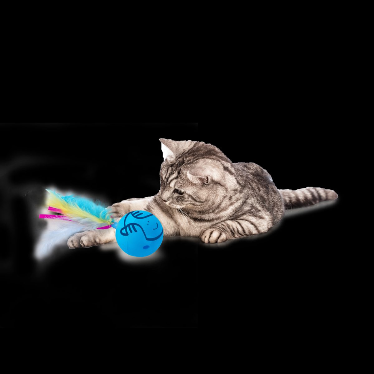AFP Modern Cat Dizzy Spinner - Afbeelding 3