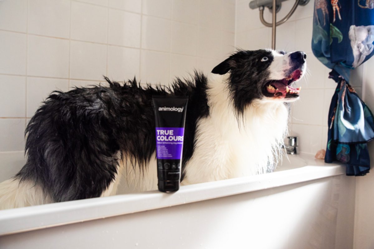 Animology True Colours Dog Shampoo - Afbeelding 4