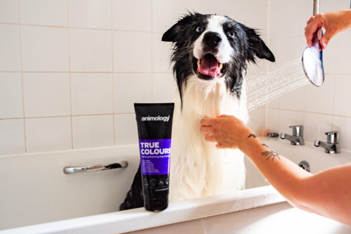 Animology True Colours Dog Shampoo - Afbeelding 5