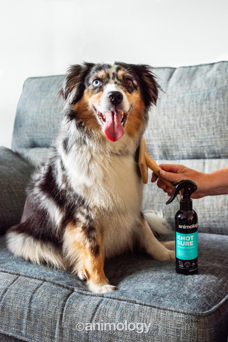 Animology Knot Sure De-Tangle Dog Spray 250 ml - Afbeelding 2