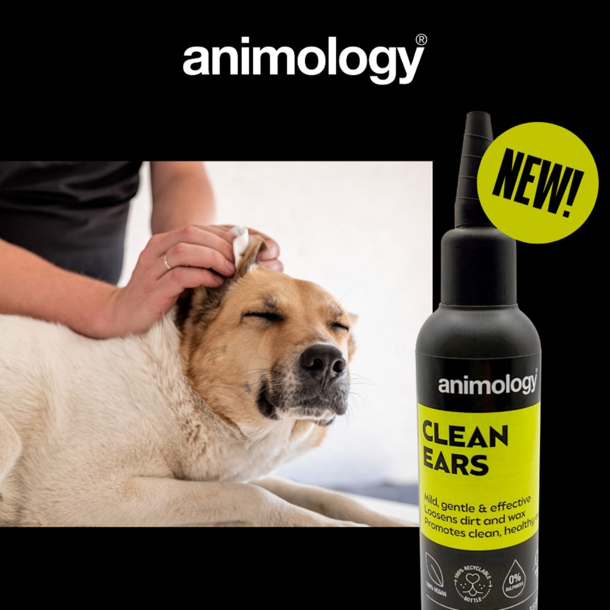 Animology Clean Ears 100 ml - Afbeelding 2