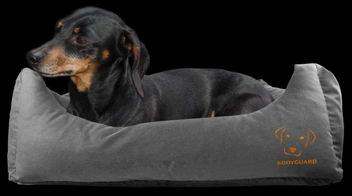 Bodyguard Sofa Bed Grijs S