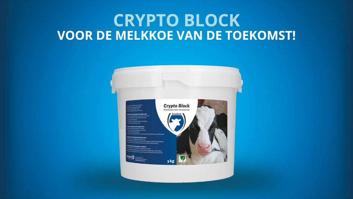 Excellent Crypto Block 4,8 kg - Afbeelding 2