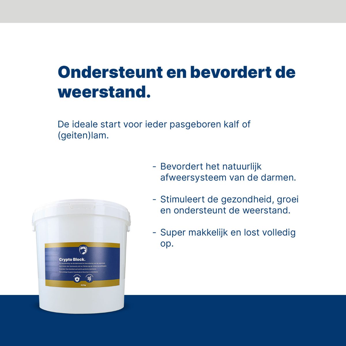 Excellent Crypto Block 4,8 kg - Afbeelding 4