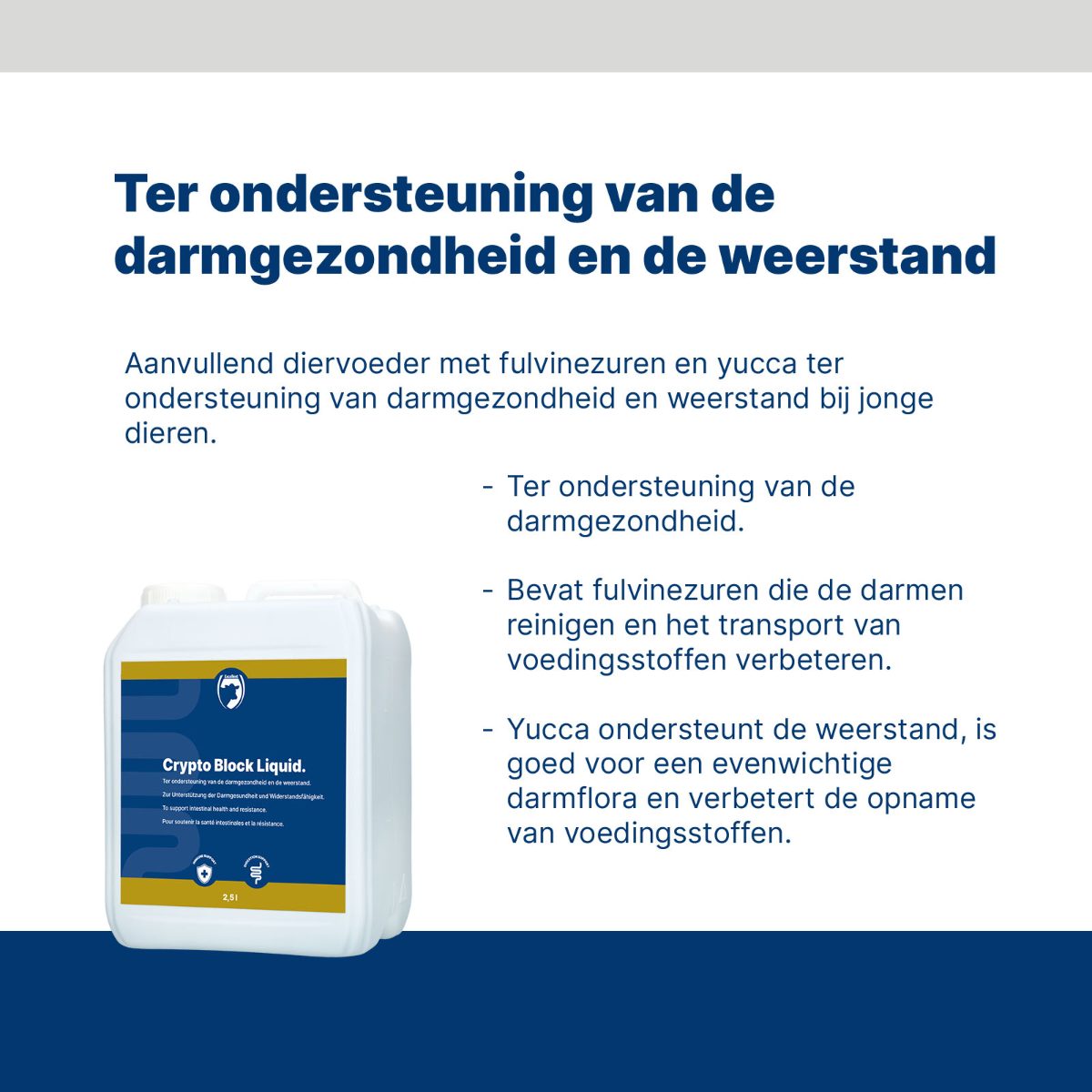 Excellent Crypto Block Liquid 2,5L - Afbeelding 2