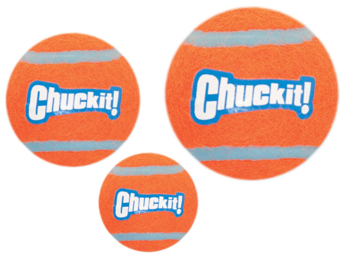 Chuckit! Tennis Ball M (2-pack) - Afbeelding 4