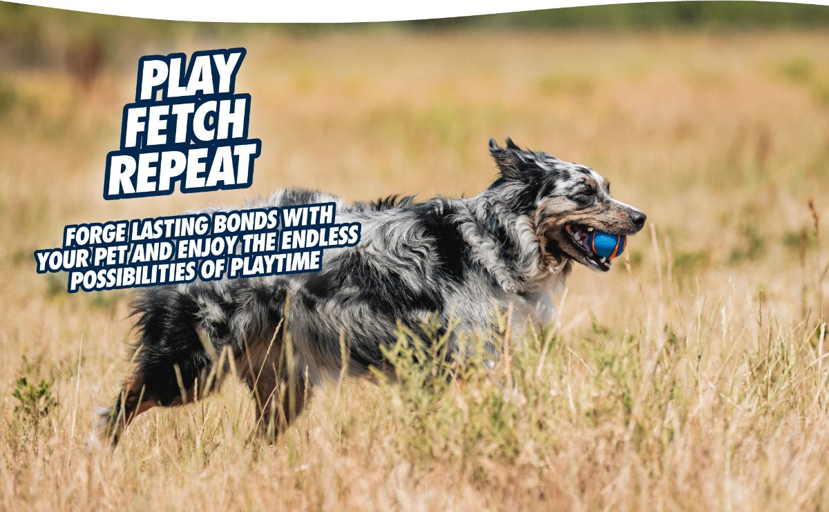 Chuckit! Ultra Squeaker Ball S (2-pack) - Afbeelding 5