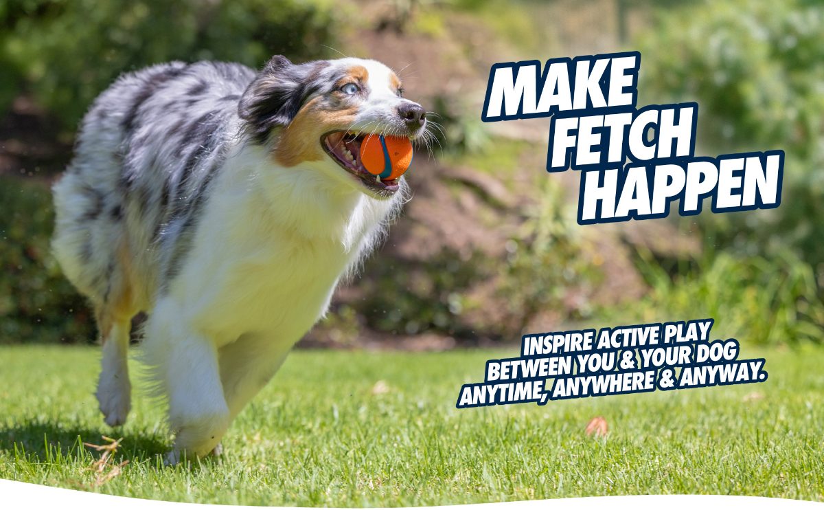 Chuckit! Ultra Squeaker Ball S (2-pack) - Afbeelding 6