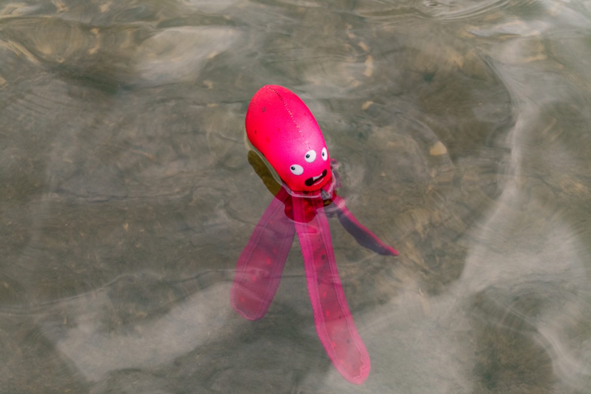 Dog Comets Alien Octo M Roze - Afbeelding 4