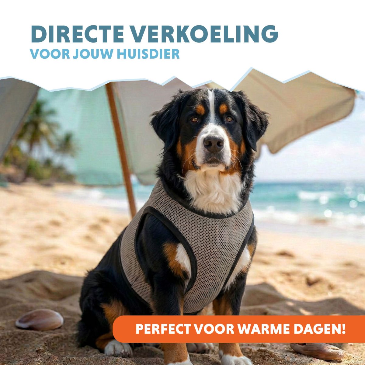 Coolpets Cooling Vest XL (back size 40 cm) - Afbeelding 2