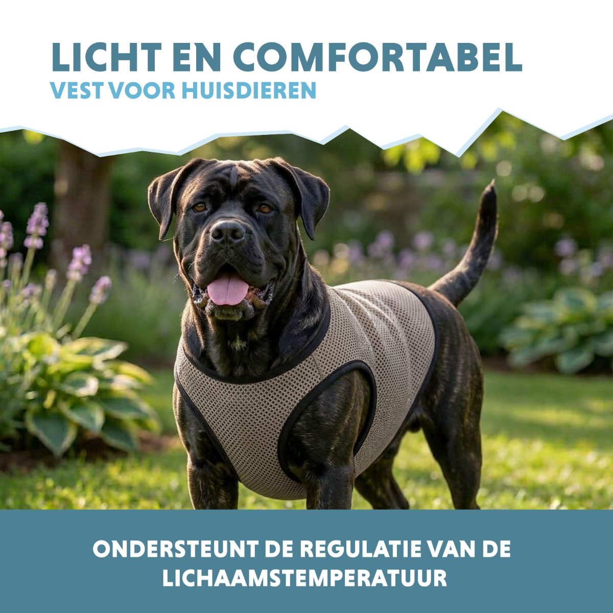 Coolpets Cooling Vest XL (back size 40 cm) - Afbeelding 4