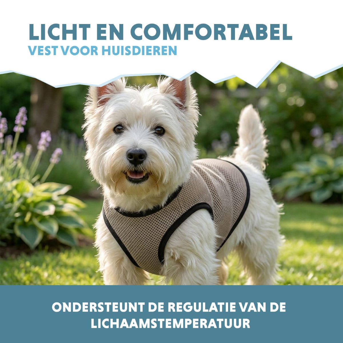 Coolpets Cooling Vest S (back size 25 cm) - Afbeelding 4