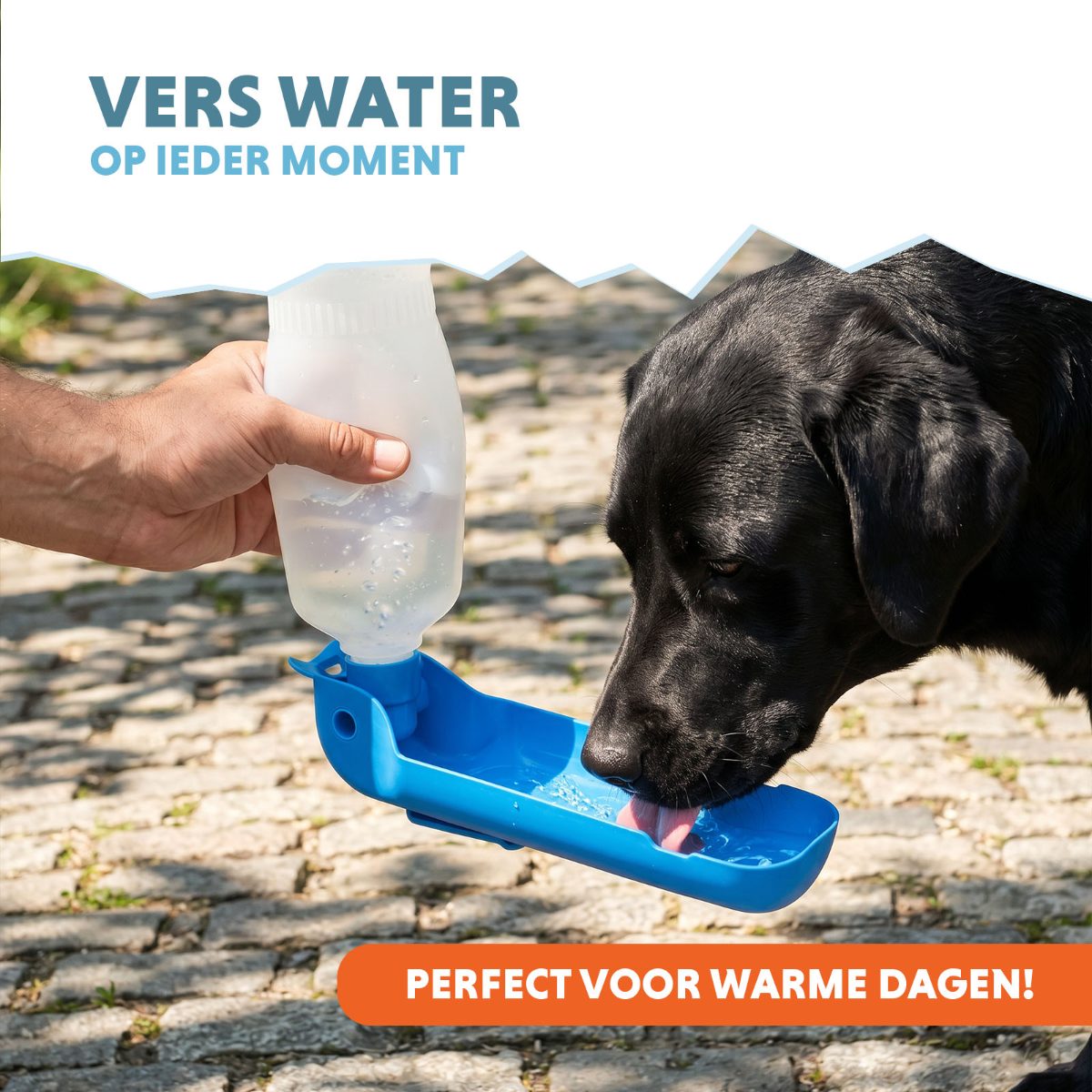 CoolPets Fresh 2GO 500 ml - Afbeelding 2