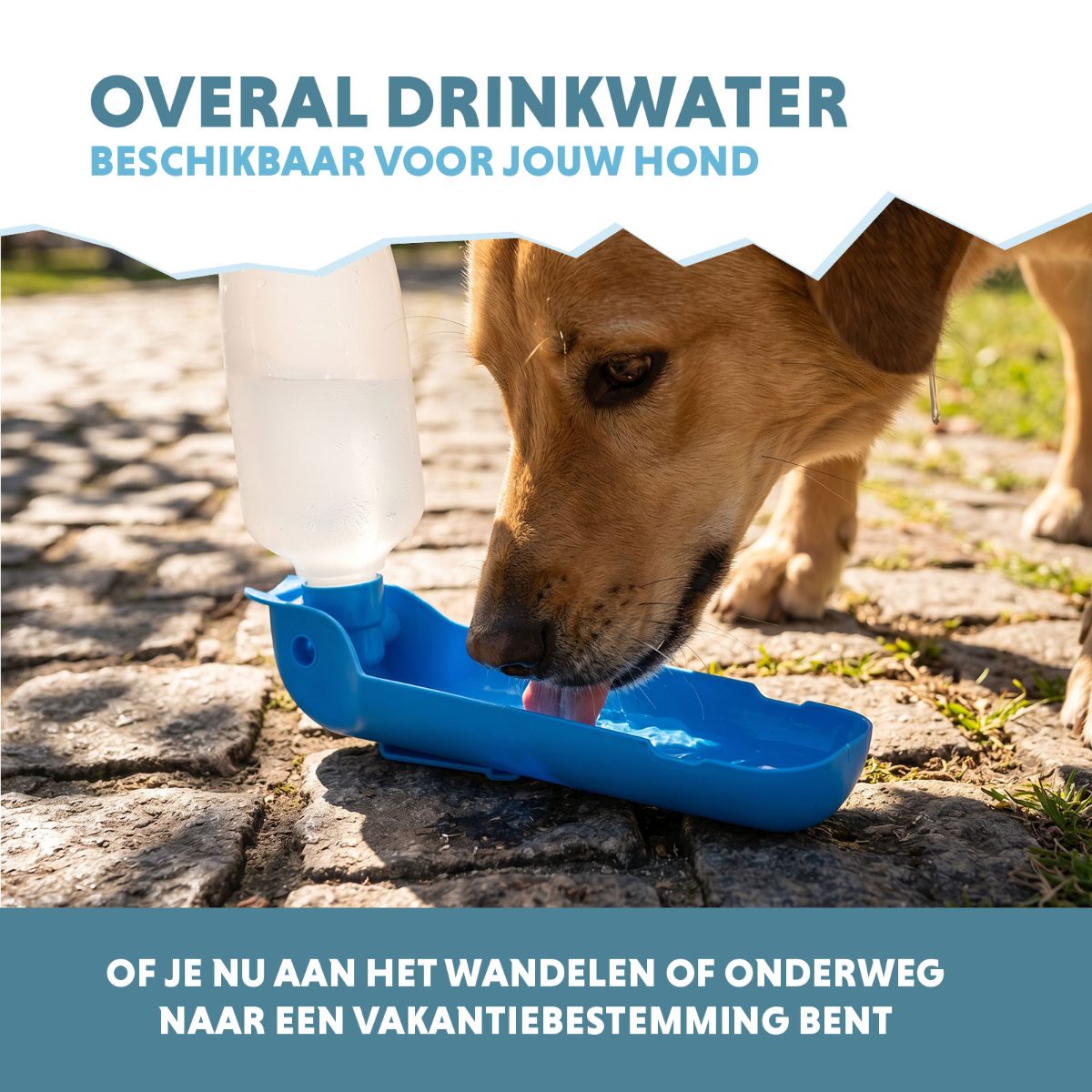CoolPets Fresh 2GO 500 ml - Afbeelding 4