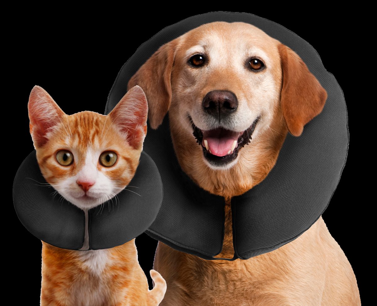 Zenpet ProCollar S - Afbeelding 2