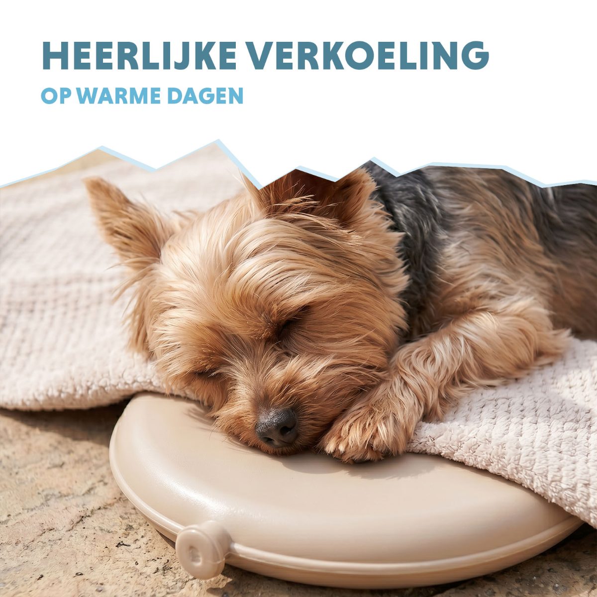 Coolpets Cooling Disc Beige - Afbeelding 6