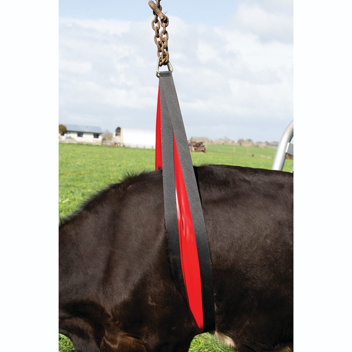 Koelifter Belly Strap Front Lift 2,4 meter