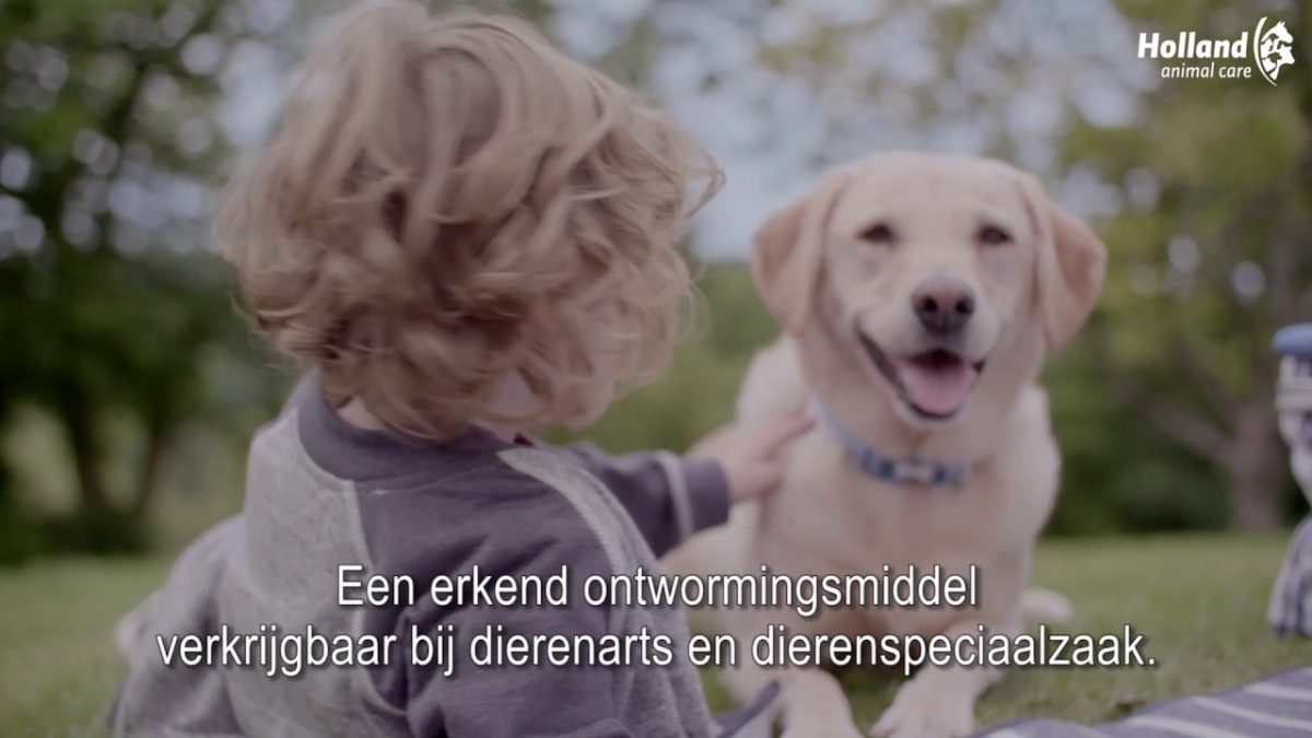 Milbemax Kauwtabletten Hond Groot Chewy 5-75kg 4 tabl. - Afbeelding 2