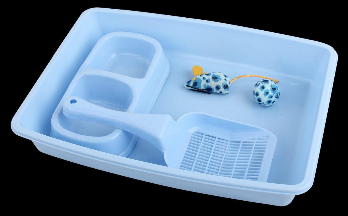 Pawise Kitten Starter Set Blauw