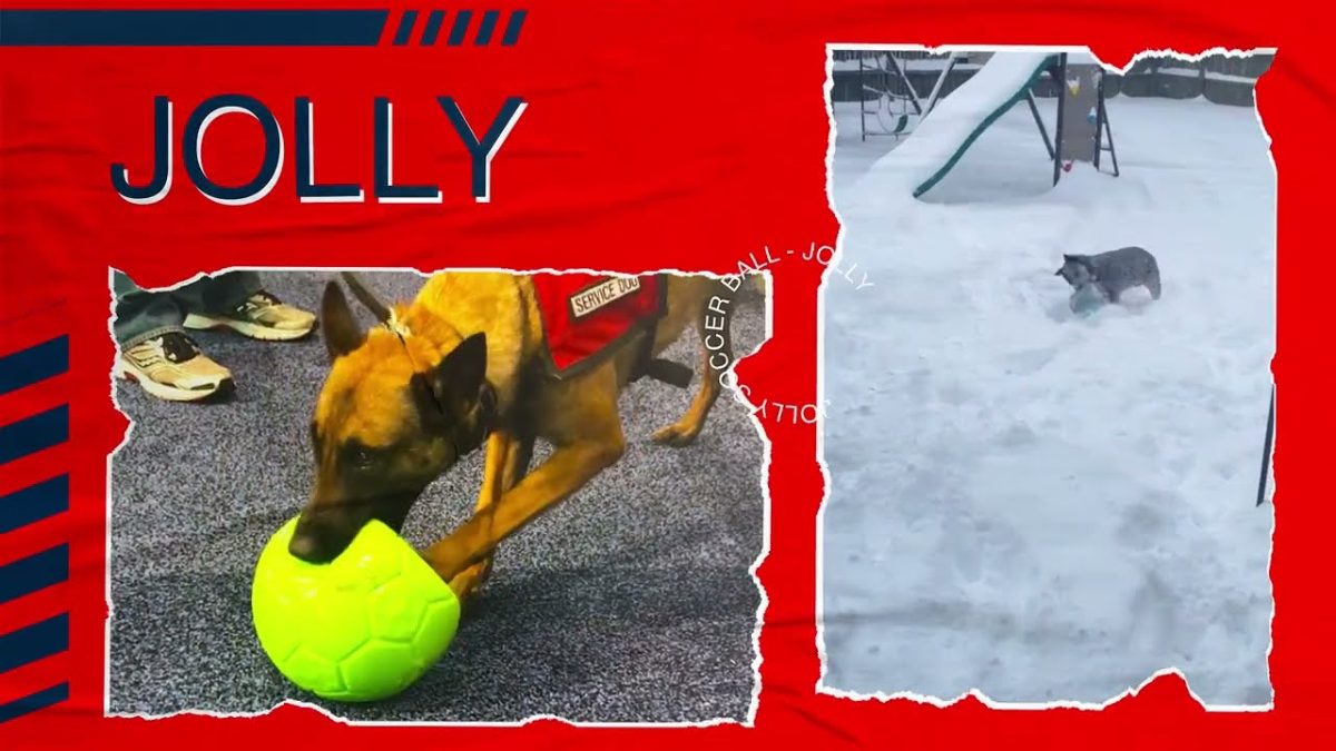 Jolly Soccer Ball Rood L (20 cm) - Afbeelding 4