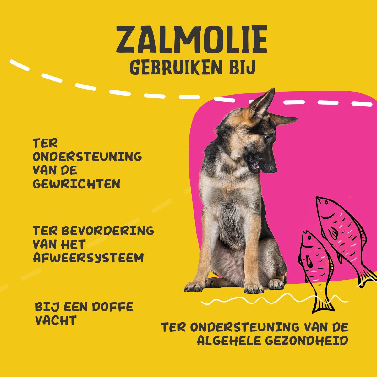 Excellent Pets Dog Salmon Oil 250 ml - Afbeelding 4