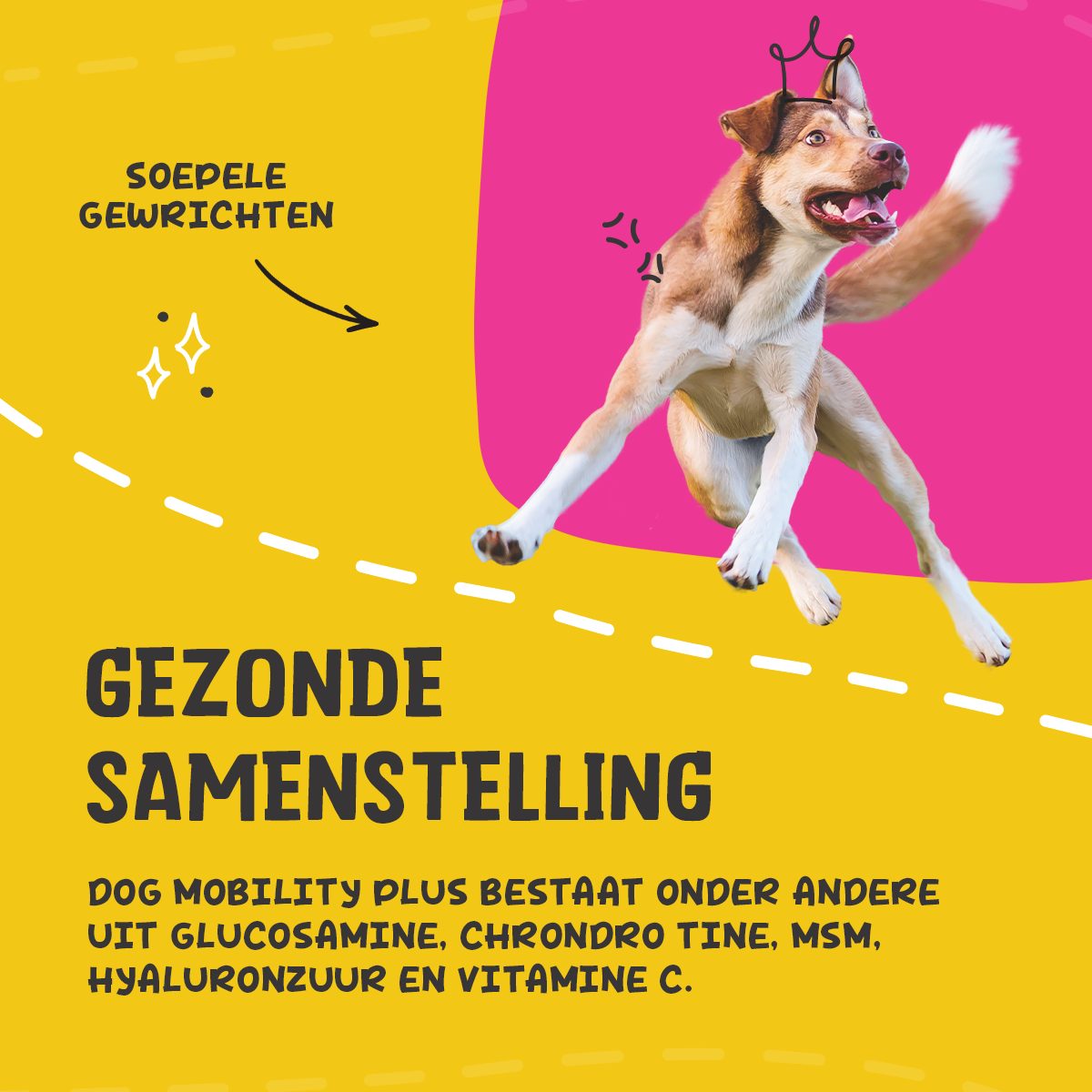 Excellent Pets Dog Mobility+ 100 g - Afbeelding 5