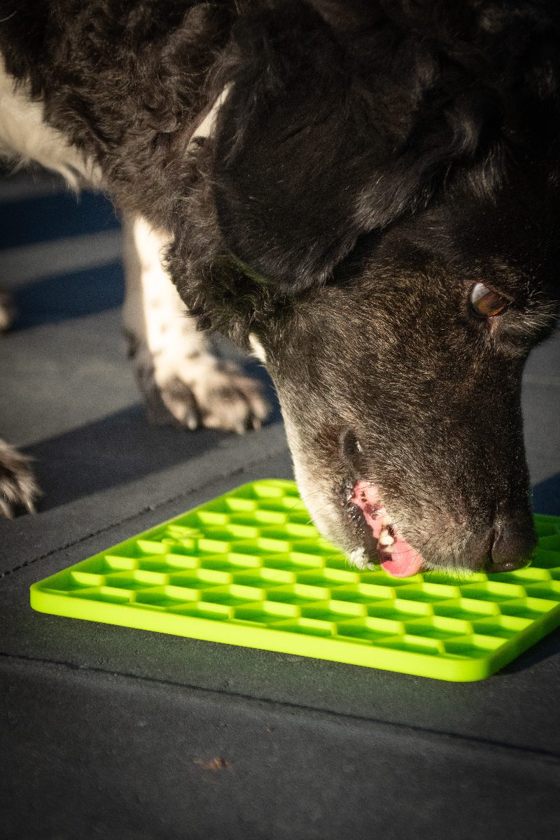 Eat Slow Live Longer Lick Mat Honeycomb Groen - Afbeelding 4