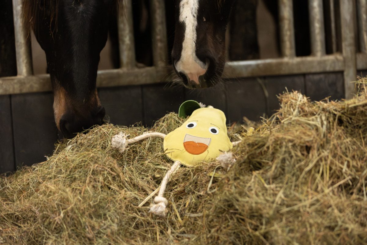 Excellent Horse Foodie Friends Pear - Afbeelding 3
