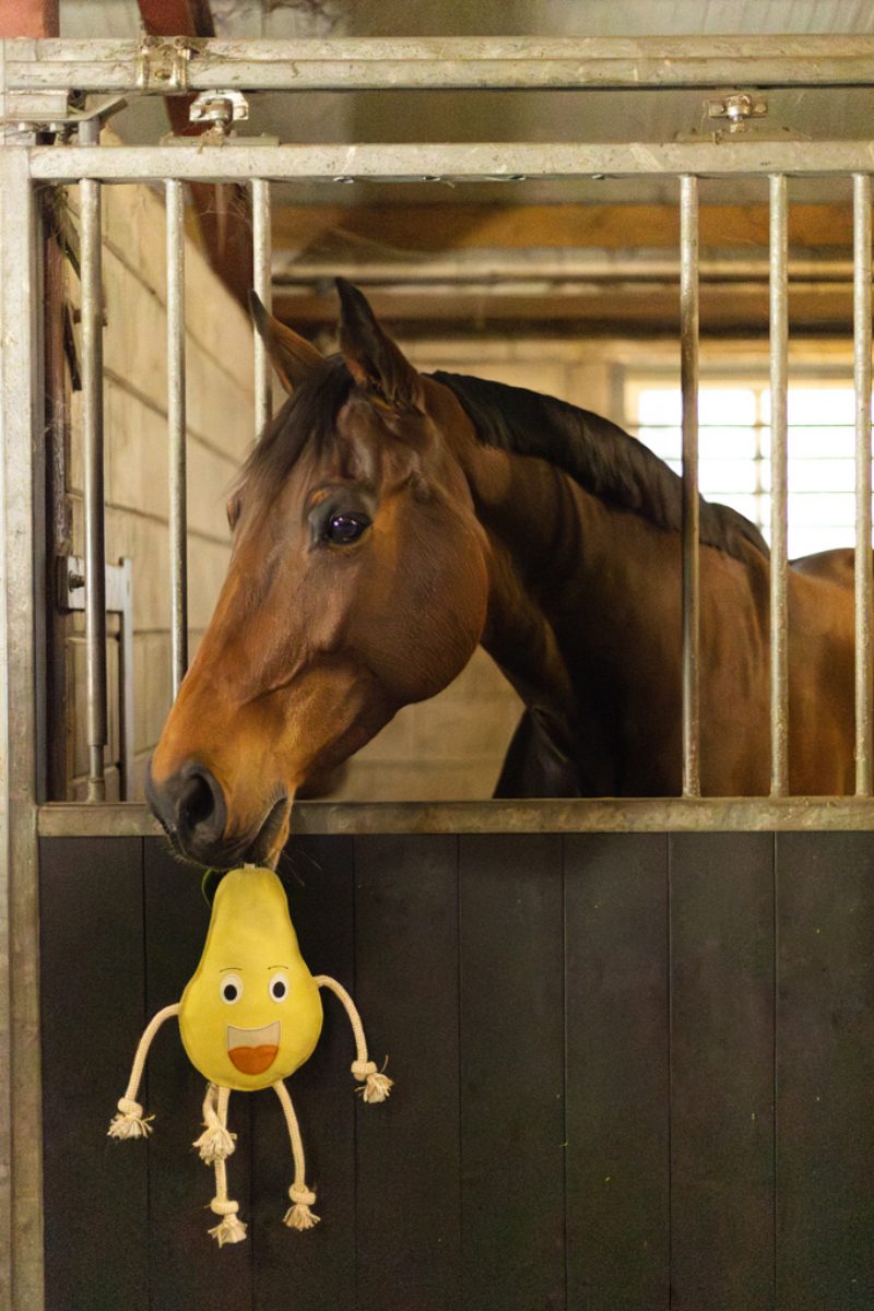 Excellent Horse Foodie Friends Pear - Afbeelding 4