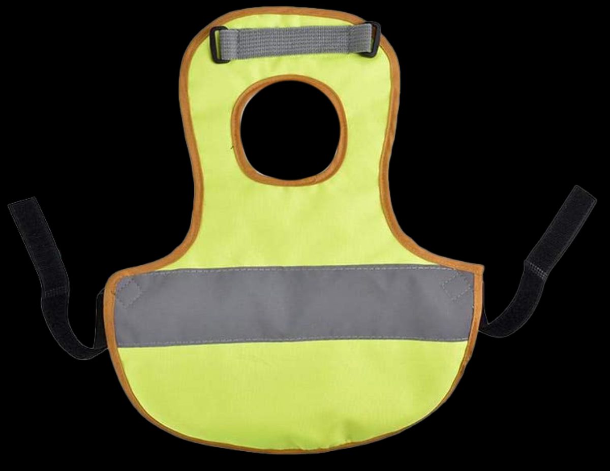 Gaun Pluimvee Kippen Vest