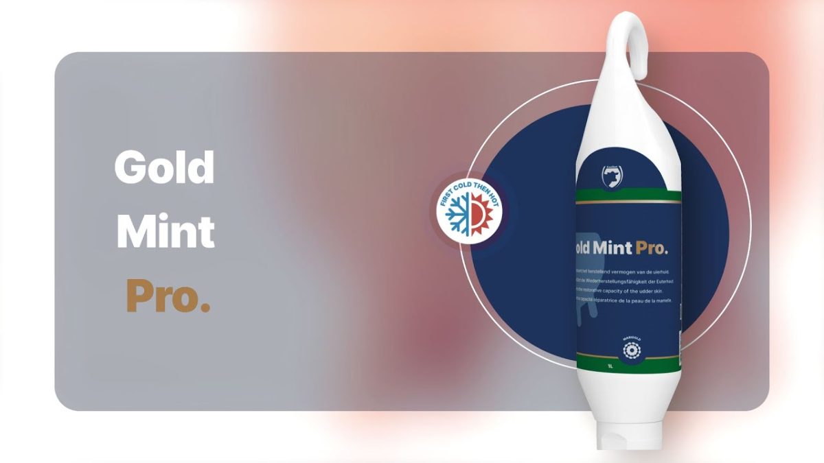 Excellent Gold Mint Pro Sta-/Hangtube 500 ml - Afbeelding 2