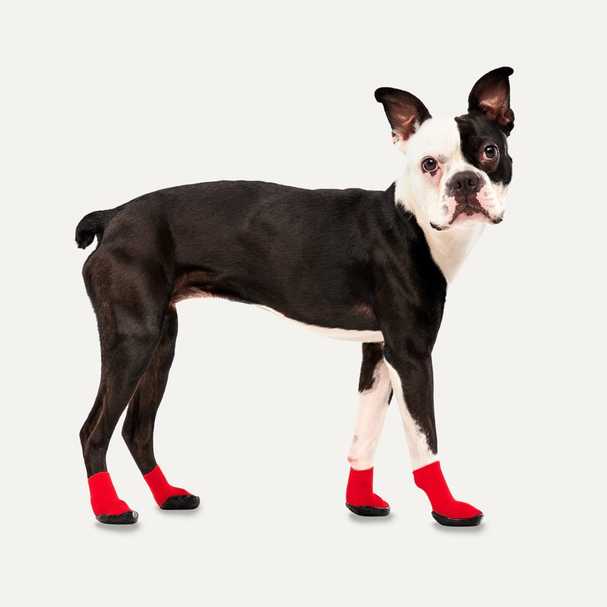 Goo-eez Dog Boots Lites 4 Per Pack M Rood/Zwart - Afbeelding 3