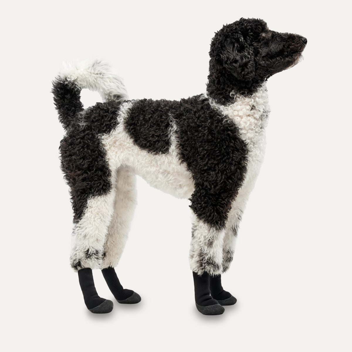 Goo-eez Dog Boots Lites 4 Per Pack XXS Camo/Zwart - Afbeelding 2