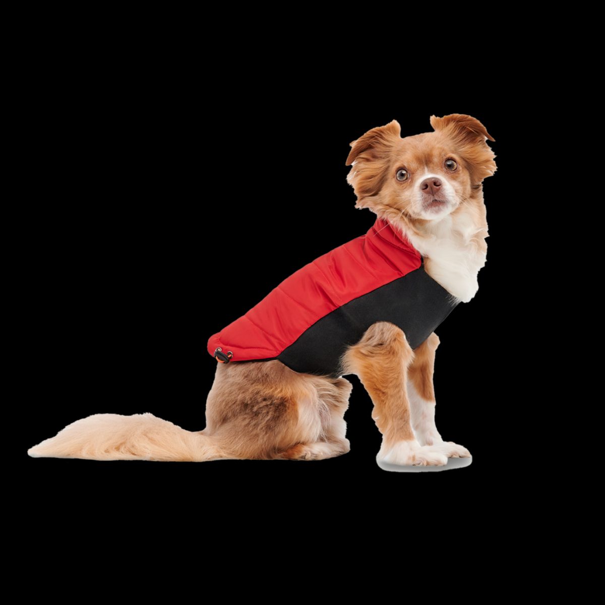 Goo-eez Mock Neck Signature Wrap Jacket XL Rood/Zwart - Afbeelding 3