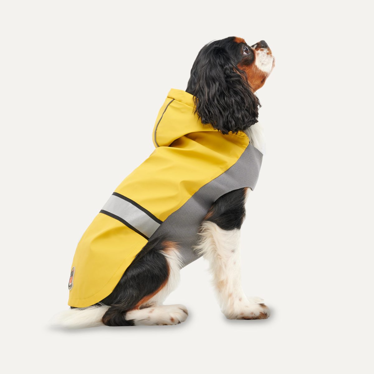 Goo-eez Reflective Hooded Raincoat XS Geel/Grijs
