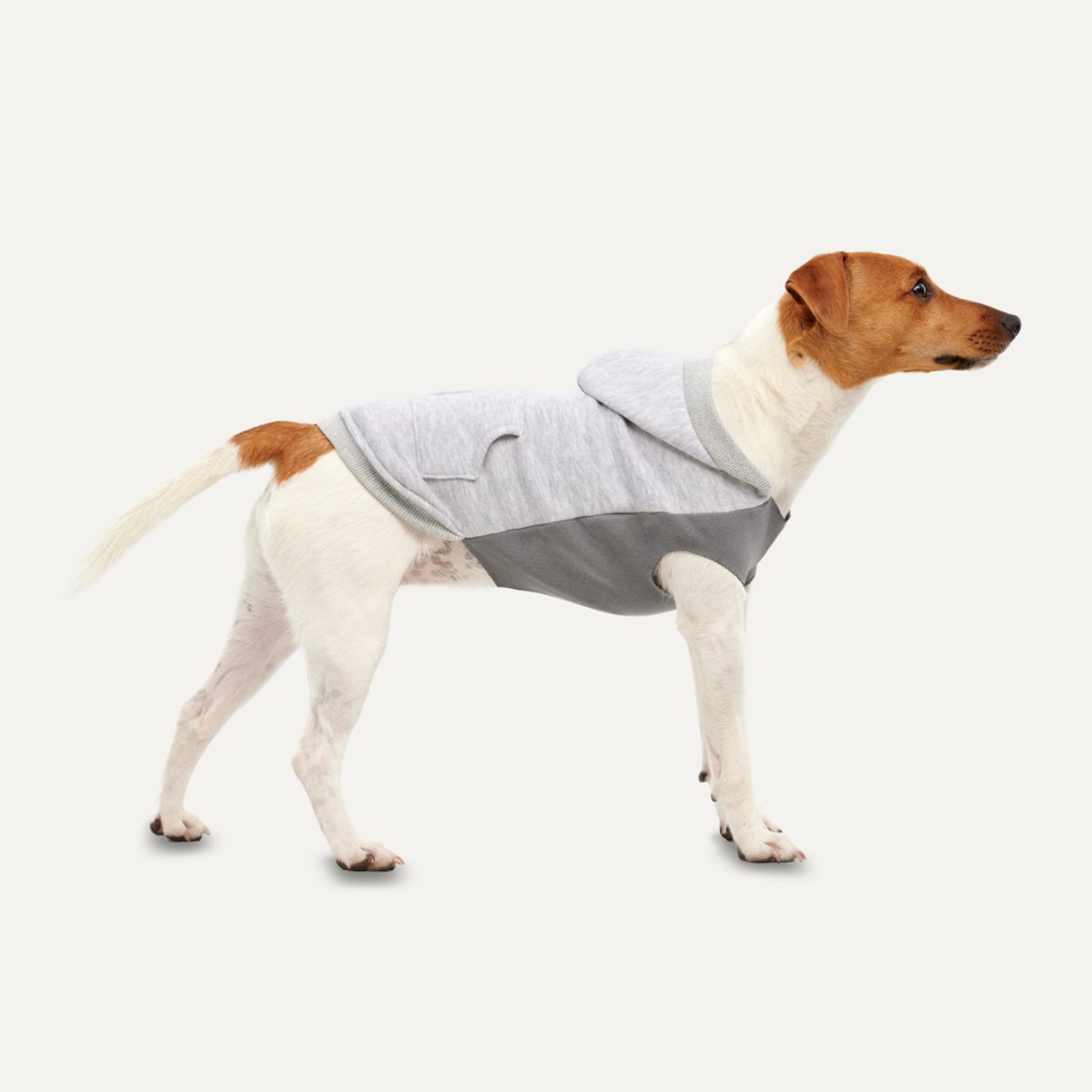 Goo-eez Kangaroo Fleece Hoodie XXS Grijs