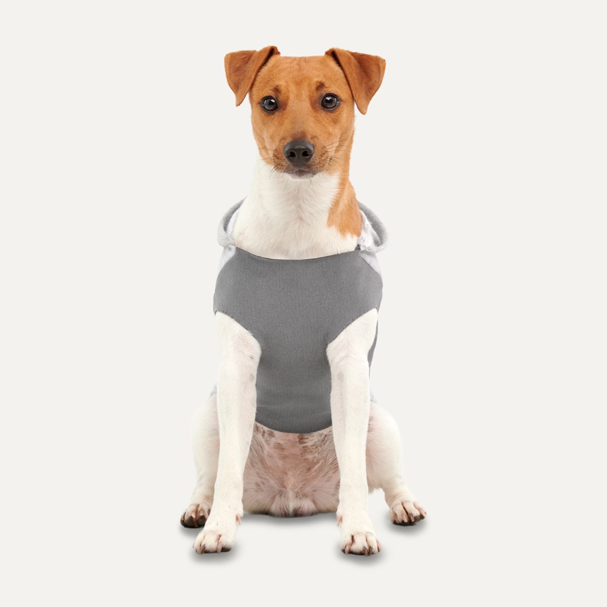 Goo-eez Kangaroo Fleece Hoodie XXS Grijs - Afbeelding 3