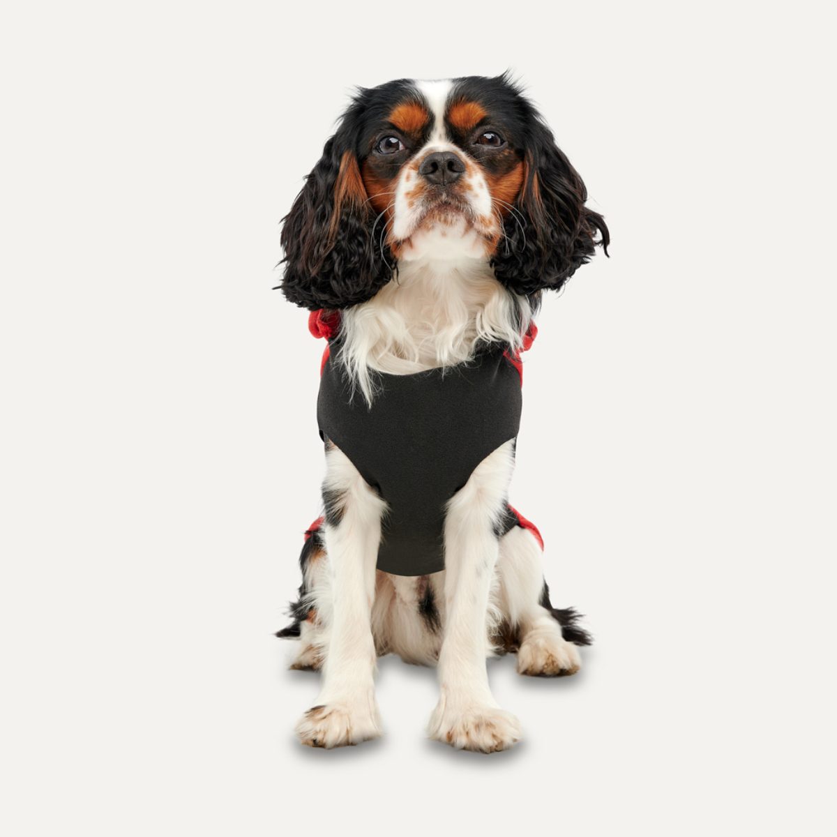 Goo-eez Kangaroo Fleece Hoodie XXS Rood/Zwart - Afbeelding 2