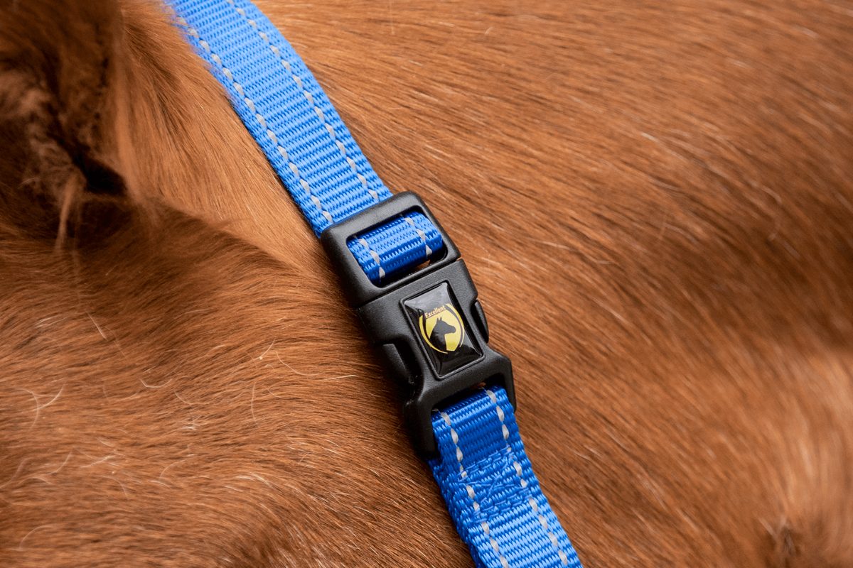 Excellent Premium Halster Blauw XS - Afbeelding 4